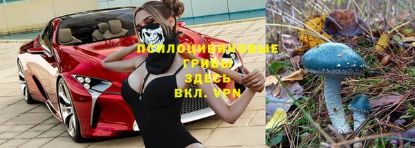 не бодяженный Козловка